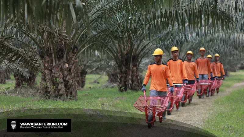 IPO PalmCo Ditunda, PTPN III Tunggu Kebijakan Baru