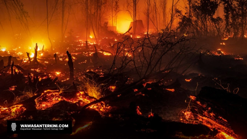 Pertimbangan Water Bombing untuk Atasi Karhutla di Indonesia