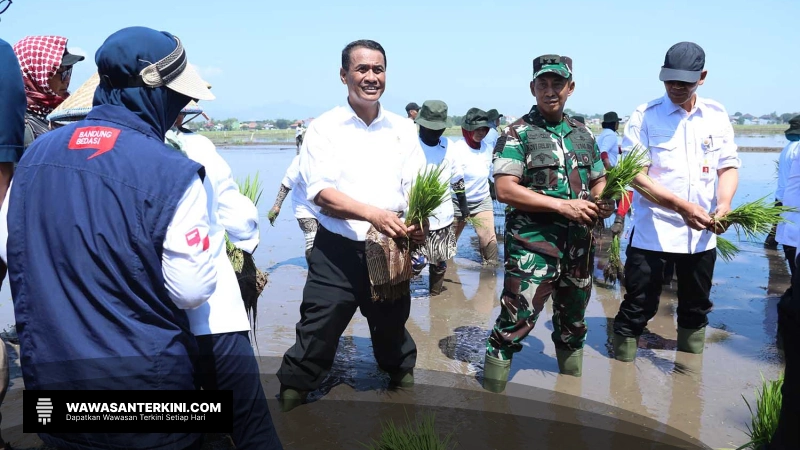 Mendorong Klaster Pertanian Modern untuk Capaian Swasembada